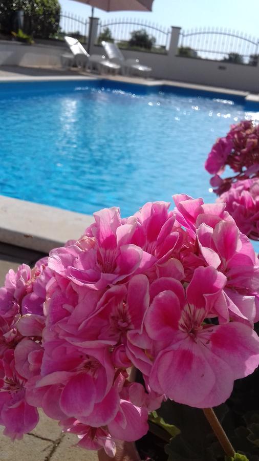 Apartment House Ariamare *