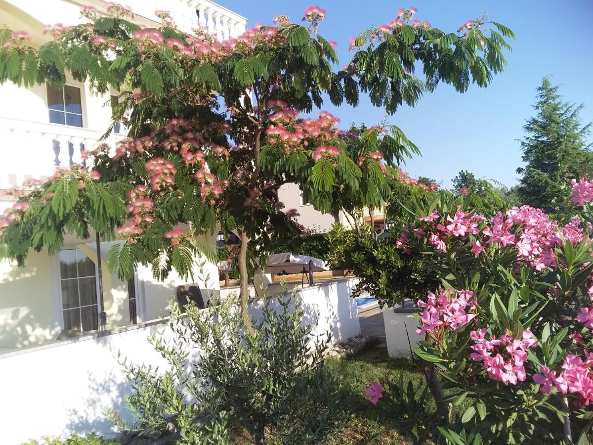 Apartment House Ariamare *