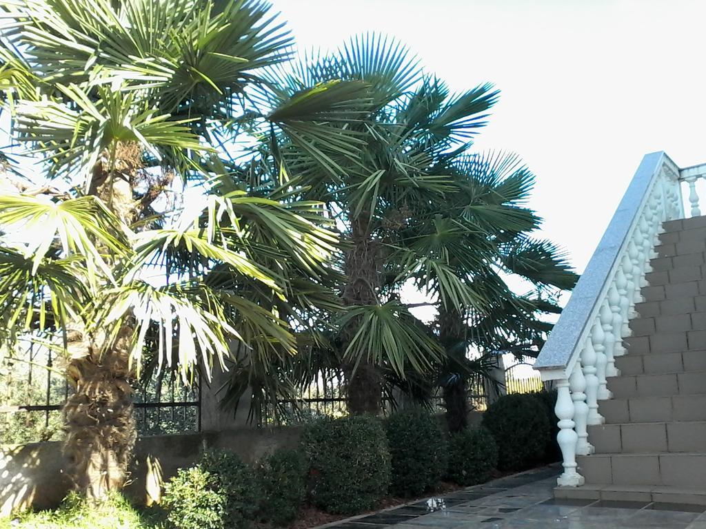 Apartment House Ariamare *